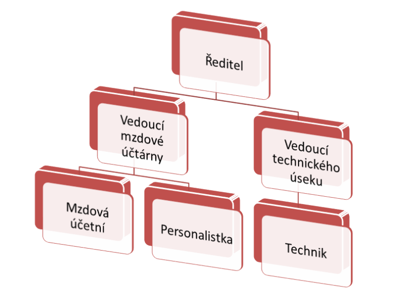 organizační schéma
